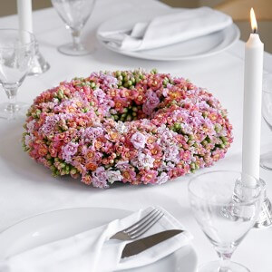 Kalanchoe - Cutflowers Pink