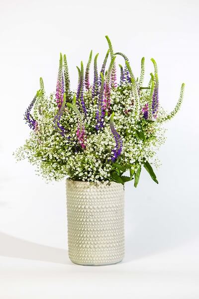 latest floral design trends